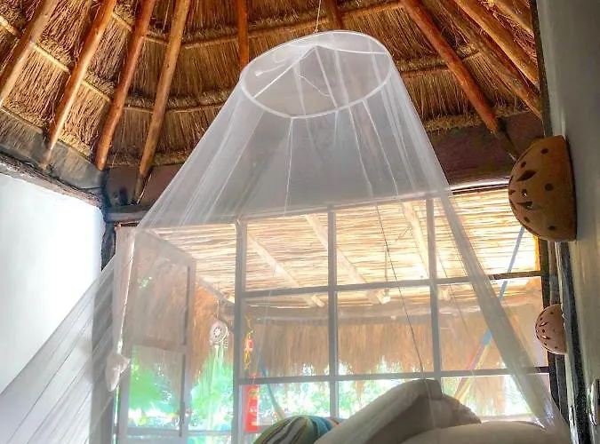 Casa de hóspedes Tunich Jungle